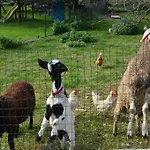 农家乐 Pimperlhof