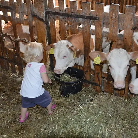 Pimperlhof ファームステイ Franking