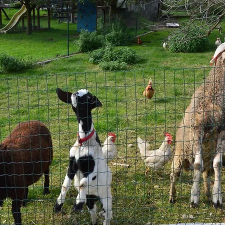 Farm stay Pimperlhof