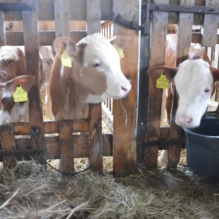 Vakantieboerderij Pimperlhof *