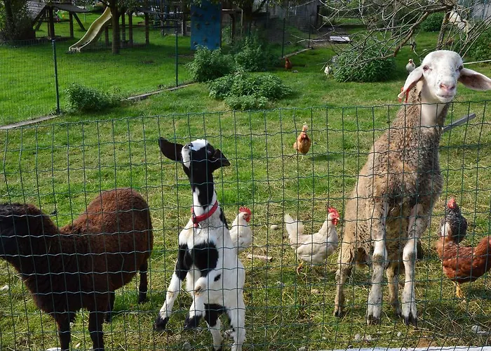 Séjour à la ferme Pimperlhof