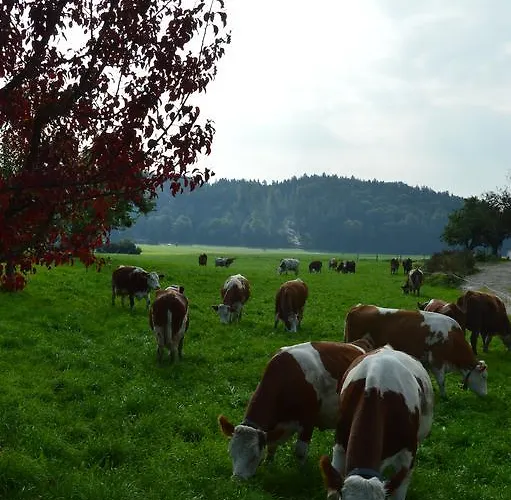 Séjour à la ferme Pimperlhof Franking